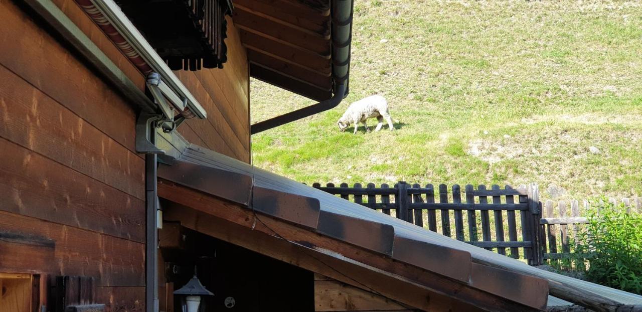 Ferienhaus & Ferienwohnung Winay Wayna Gotschna Blick Klosters Exterior photo